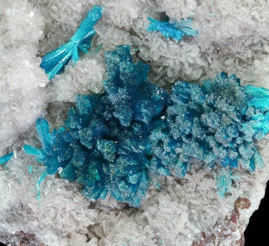 Vibrant Blue Cavansite Clusters on Stilbite - India #64804